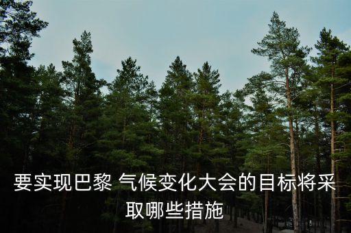 要實現巴黎 氣候變化大會的目標將采取哪些措施