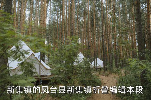 新集鎮的鳳臺縣新集鎮折疊編輯本段