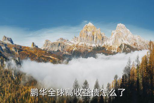  鵬華全球高收益債怎么了