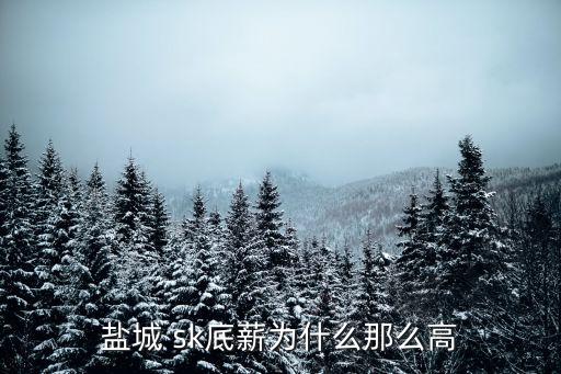 sk集團怎樣,韓國sk集團創始人
