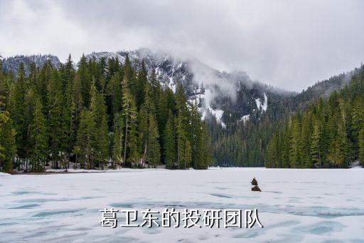 葛衛東的投研團隊