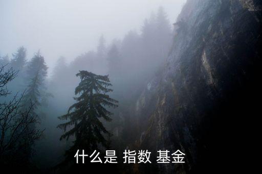 什么是 指數 基金