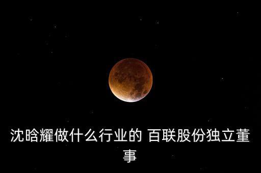 沈晗耀做什么行業的 百聯股份獨立董事