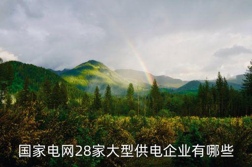 國家電網28家大型供電企業有哪些