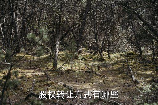 股權轉(zhuǎn)讓方式有哪些