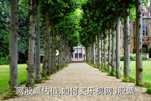 樂視網股票估值,如何買樂視網3股票