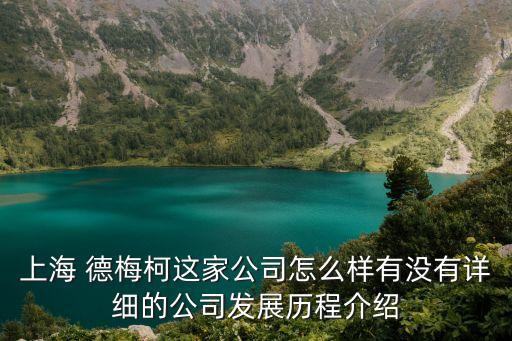 上海 德梅柯這家公司怎么樣有沒有詳細的公司發展歷程介紹