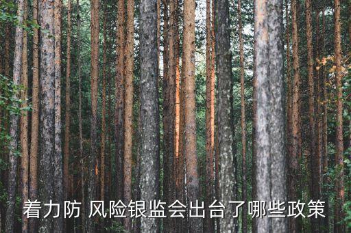 民營銀行如何規(guī)避風(fēng)險(xiǎn)