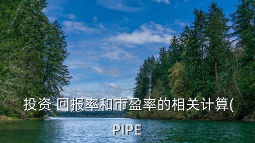  投資 回報率和市盈率的相關計算(PIPE