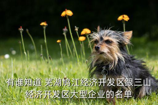 有誰知道 蕪湖鳩江經濟開發區跟三山經濟開發區大型企業的名單