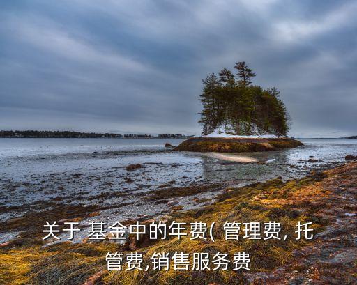 關于 基金中的年費( 管理費, 托管費,銷售服務費