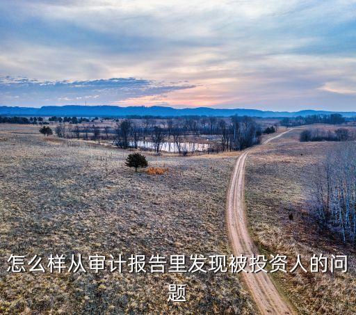 怎么樣從審計報告里發現被投資人的問題