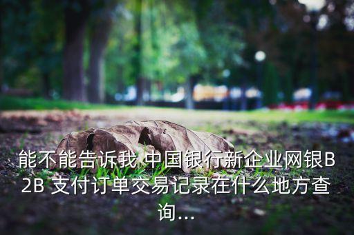 能不能告訴我 中國銀行新企業網銀B2B 支付訂單交易記錄在什么地方查詢...