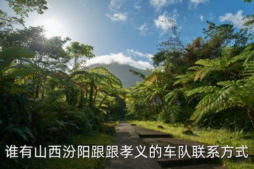 誰有山西汾陽跟跟孝義的車隊聯系方式