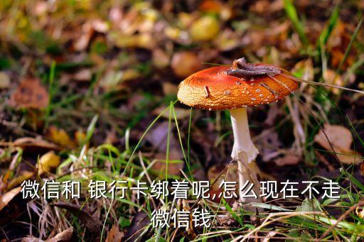 微信和 銀行卡綁著呢,怎么現在不走微信錢