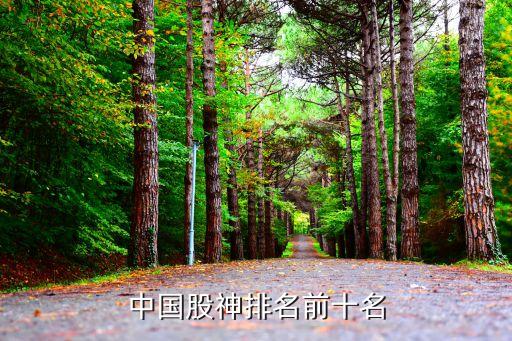 蔣菲股票群,antmessenger股票群