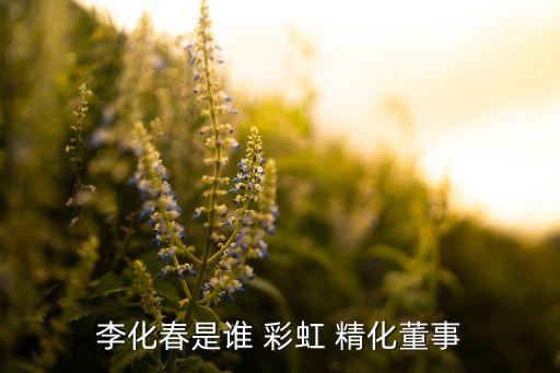 格瑞衛康與彩虹精化集團關系