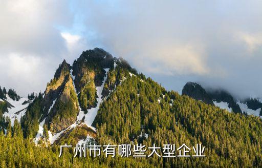 廣州市有哪些大型企業