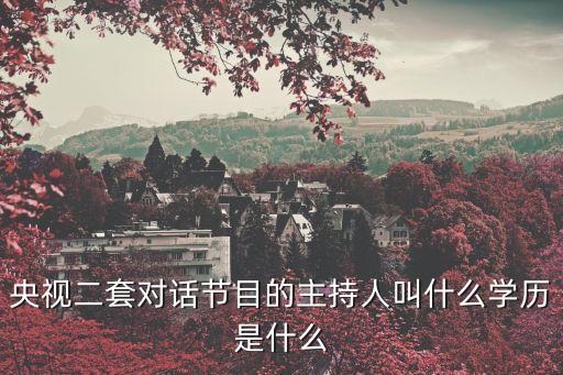 央視二套對話節目的主持人叫什么學歷是什么