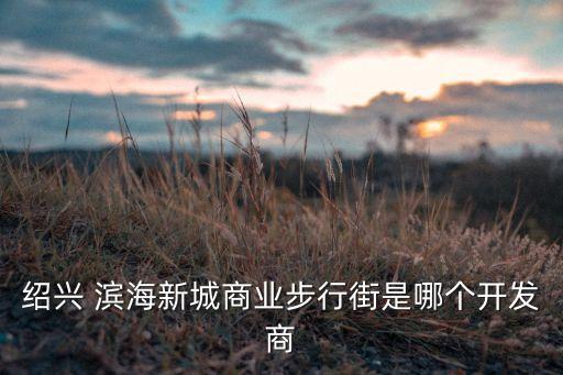 大慶濱海置業有限公司,福州市濱海榕發置業有限公司
