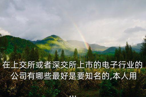 在上交所或者深交所上市的電子行業的 公司有哪些最好是要知名的,本人用...
