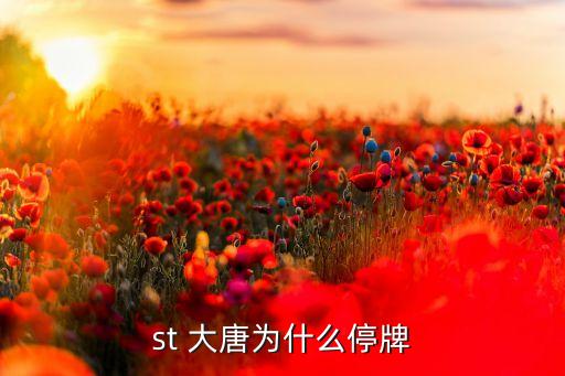 大唐集團違規,中國大唐集團