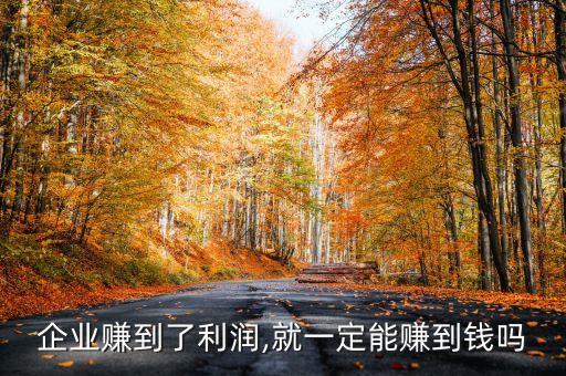 企業賺到了利潤,就一定能賺到錢嗎
