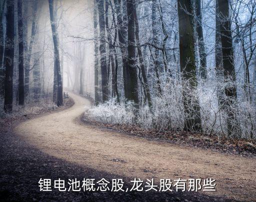 寧波韻升新材料有限公司的產品,河北韻升新材料有限公司