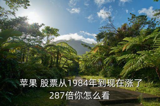  蘋果 股票從1984年到現在漲了287倍你怎么看