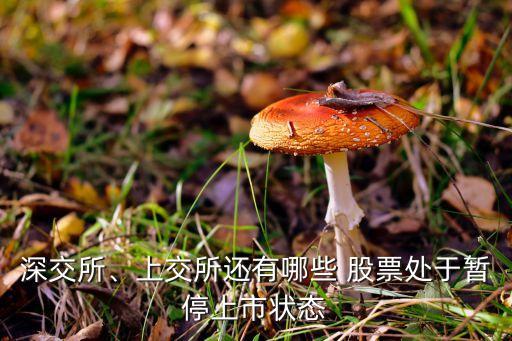 深交所、上交所還有哪些 股票處于暫停上市狀態