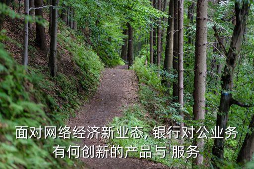 銀行創新性服務,創新性服務有哪些