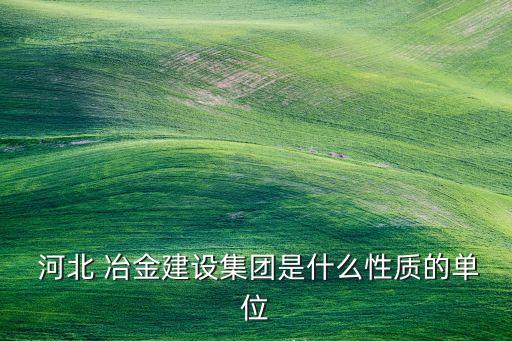  河北 冶金建設集團是什么性質(zhì)的單位