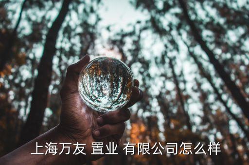  上海萬友 置業 有限公司怎么樣
