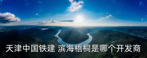 天津中國鐵建 濱海梧桐是哪個開發商