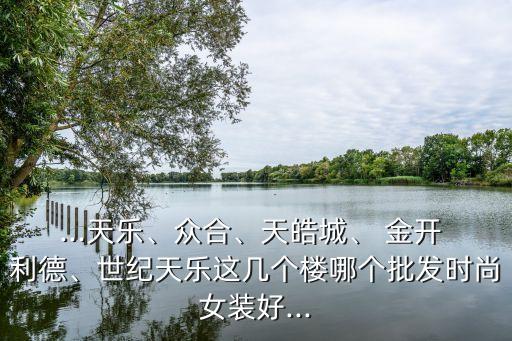 ...天樂、眾合、天皓城、 金開 利德、世紀天樂這幾個樓哪個批發時尚女裝好...