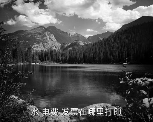 水 電費 發票在哪里打印