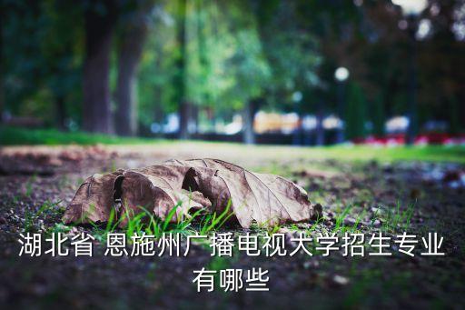 湖北省 恩施州廣播電視大學招生專業有哪些