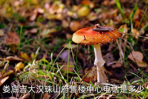 婁底市城市建設投資集團有限公司,杭州市城市建設投資集團有限公司