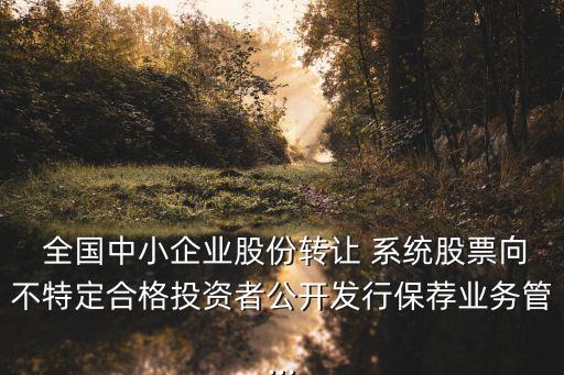  全國中小企業股份轉讓 系統股票向不特定合格投資者公開發行保薦業務管...