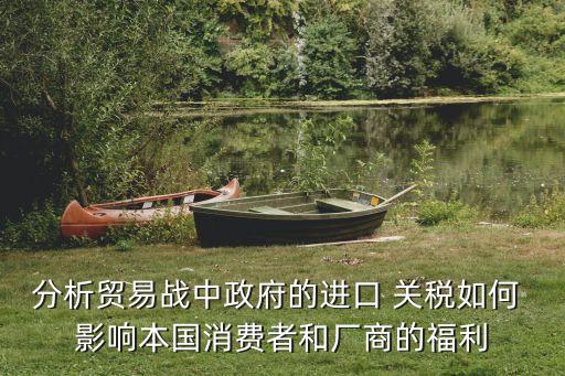分析貿易戰中政府的進口 關稅如何 影響本國消費者和廠商的福利