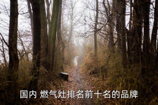 東方燃氣股份有限公司,新疆東方環宇燃氣股份有限公司怎么樣