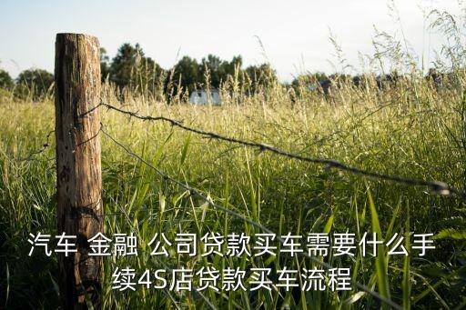 汽車 金融 公司貸款買車需要什么手續4S店貸款買車流程