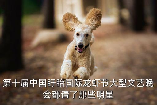 第十屆中國盱眙國際龍蝦節大型文藝晚會都請了那些明星