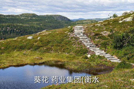 葵花 藥業集團(衡水