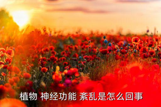  植物 神經功能 紊亂是怎么回事