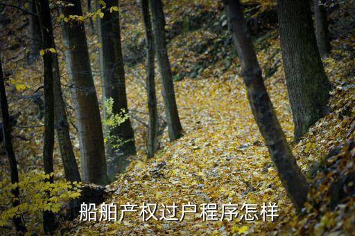  船舶產權過戶程序怎樣