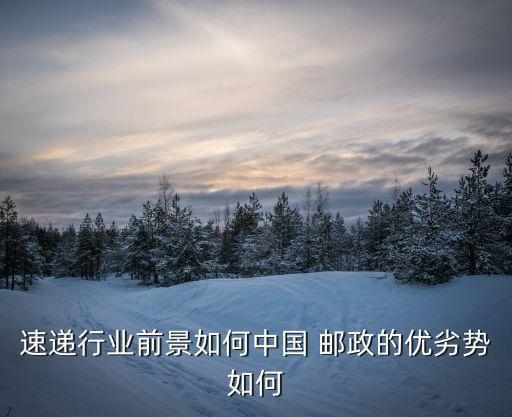 中國郵政的戰略選擇