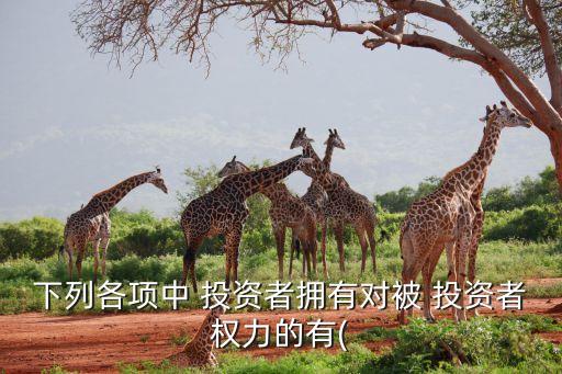 下列各項中 投資者擁有對被 投資者權力的有(