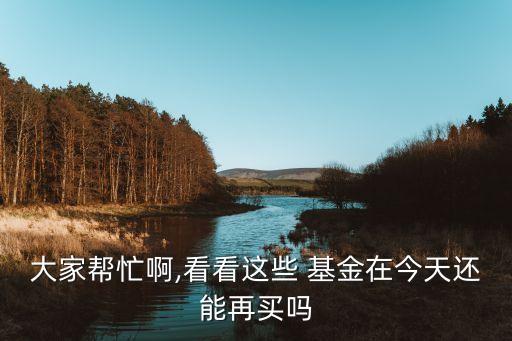 大家幫忙啊,看看這些 基金在今天還能再買嗎