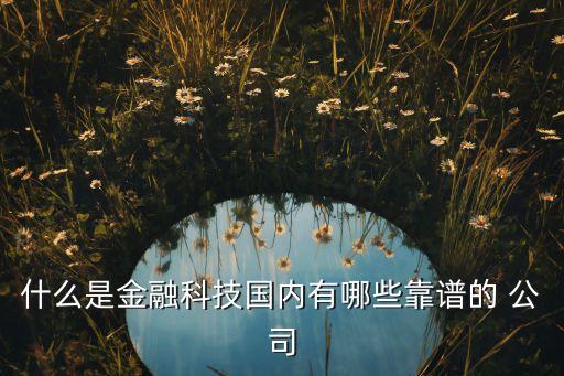 什么是金融科技國內有哪些靠譜的 公司